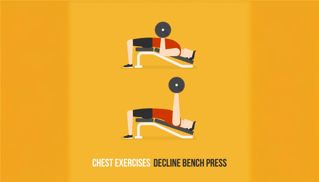 Decline Dumbbell Press - Chest Dumbbell Exercises